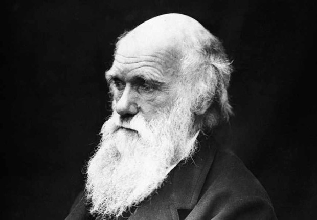 charles-darwin modelo de negócios inovação adaptação